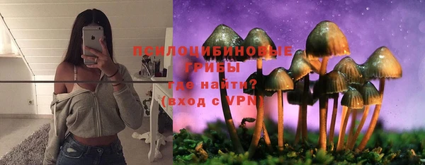 стафф Заволжск
