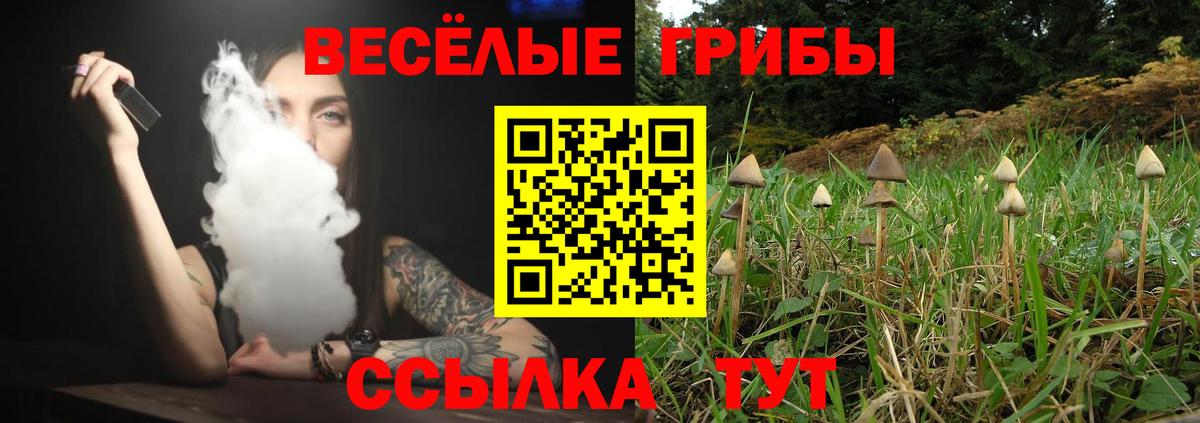 Татарск  Галлюциногенные грибы MAGIC MUSHROOMS  Вход с VPN 